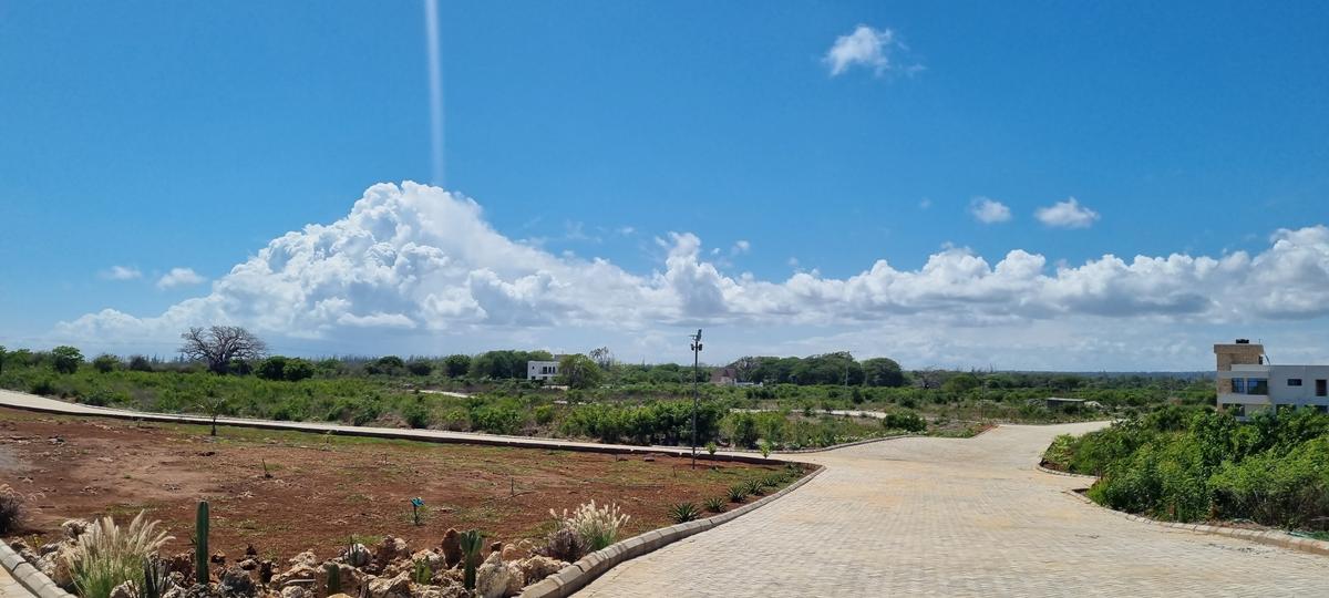 Land at Vipingo - 17