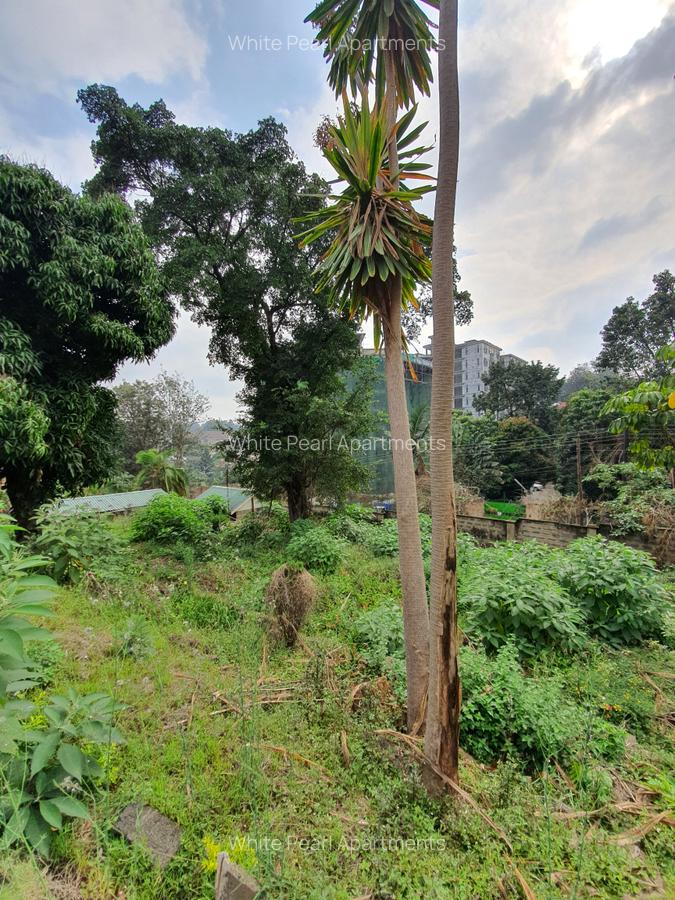0.9 ac Land at Rhapta Road - 19