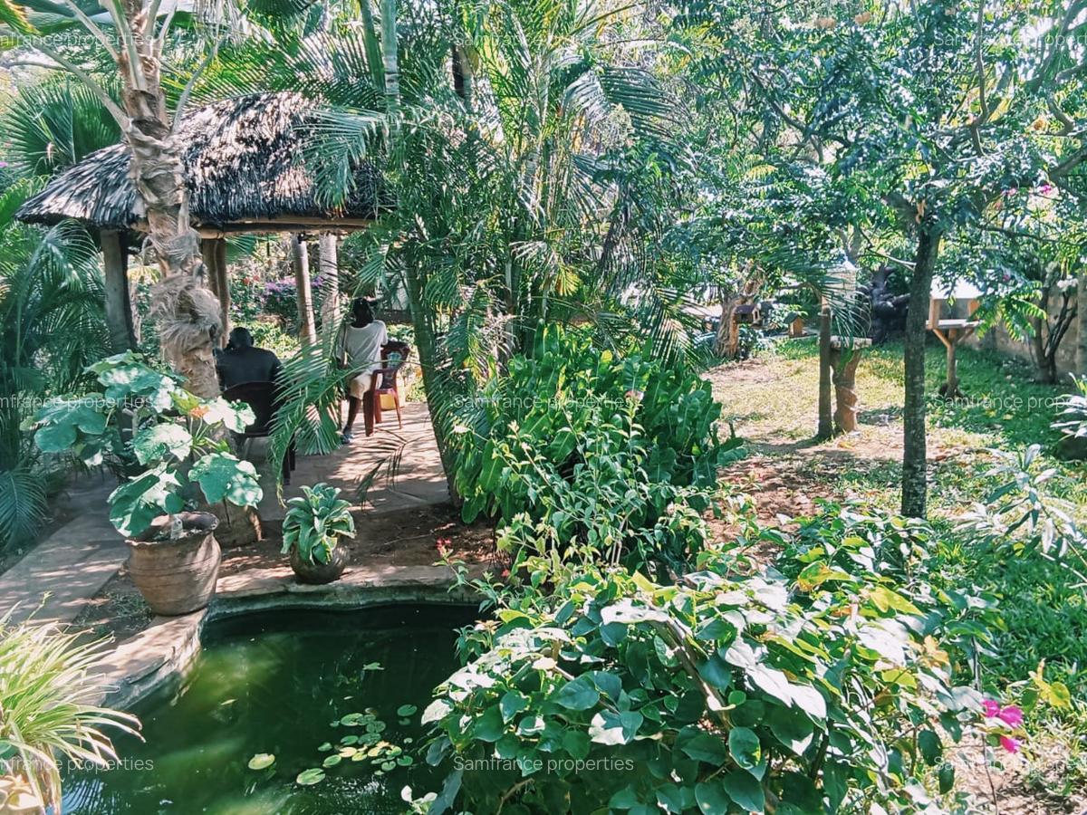 3 Bed House with En Suite at Jacaranda Road - 2