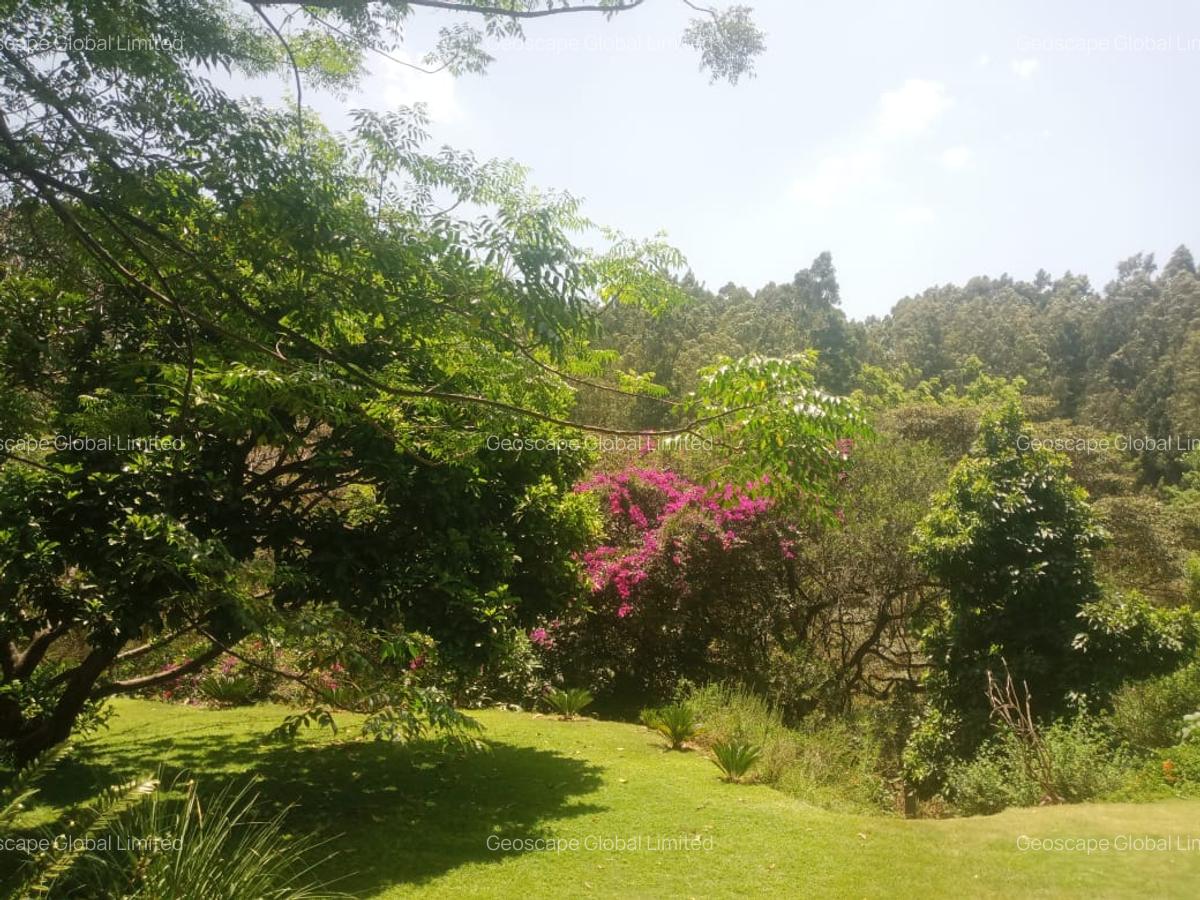 Furnished 2 Bed Apartment with En Suite in Gigiri - 20