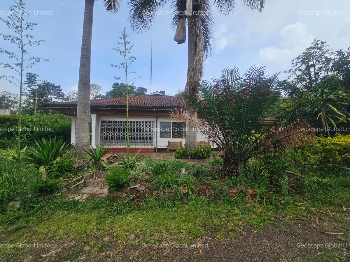 Furnished Commercial Property with Backup Generator in Lavington - 1