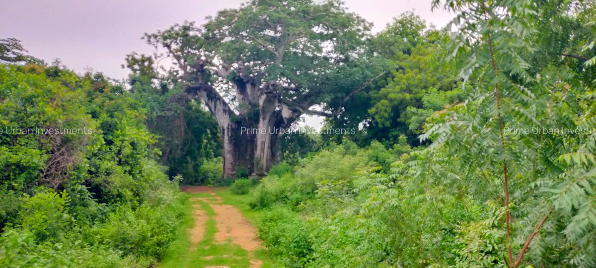 Land in Vipingo - 16