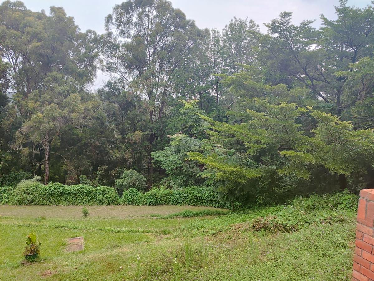 2.8 ac Land at Farasi Lane - 16