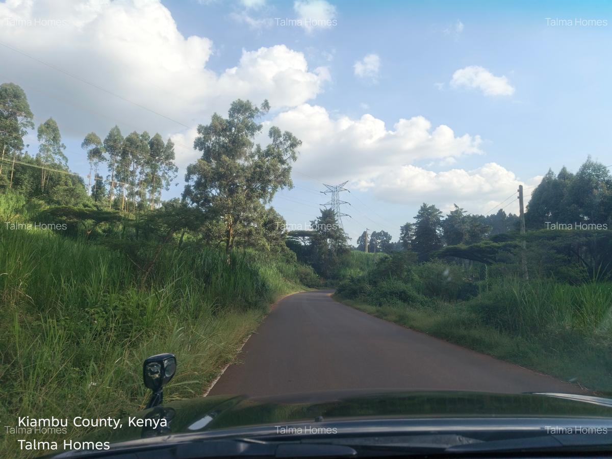 Land at Tigoni - 12