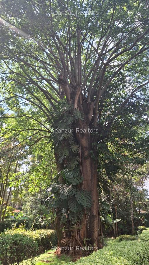 Land at Dagoretti Road - 9