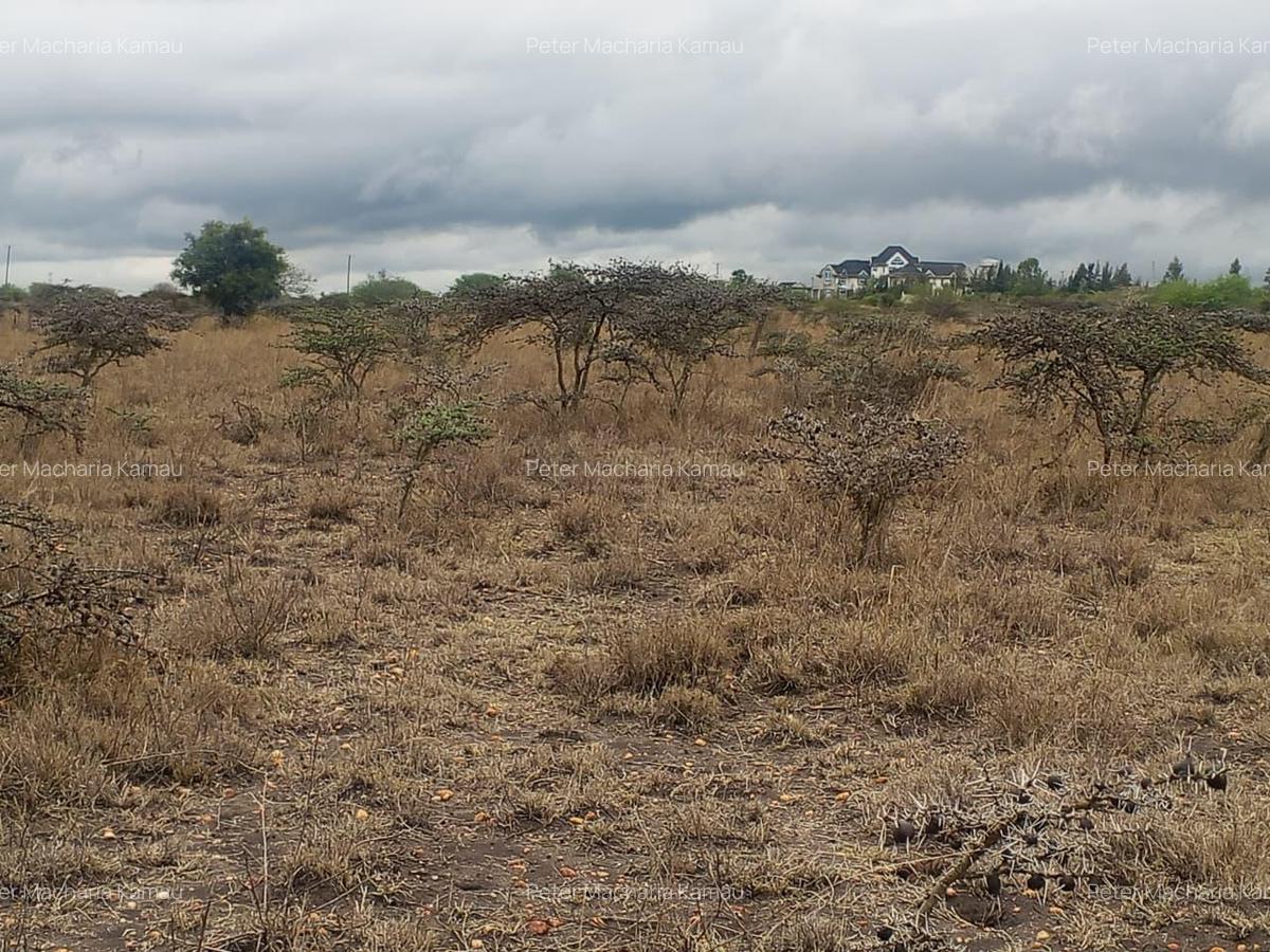 50 ac Land in Konza City - 11