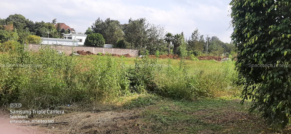 Commercial Property in Nyari - 1