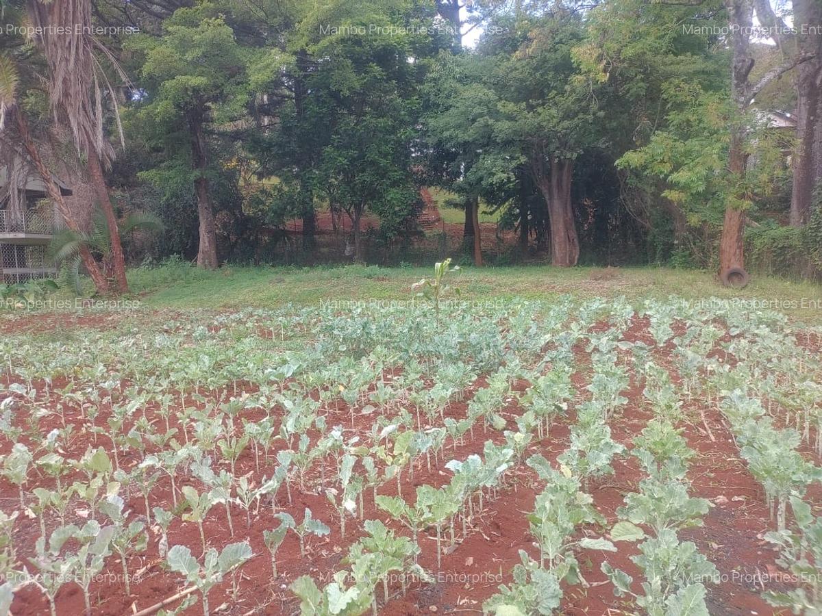 Residential Land in Kyuna - 1