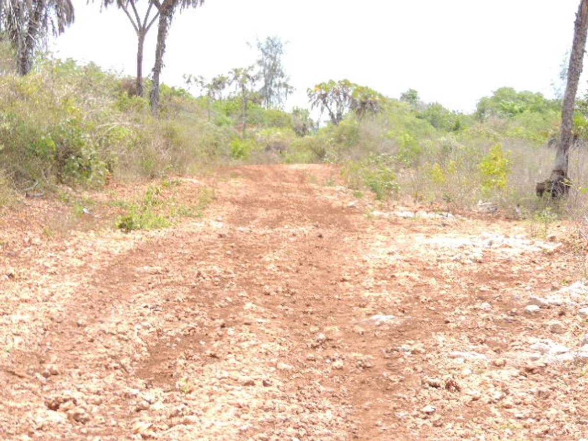 0.25 ac Residential Land at Diani Beach Road - 5