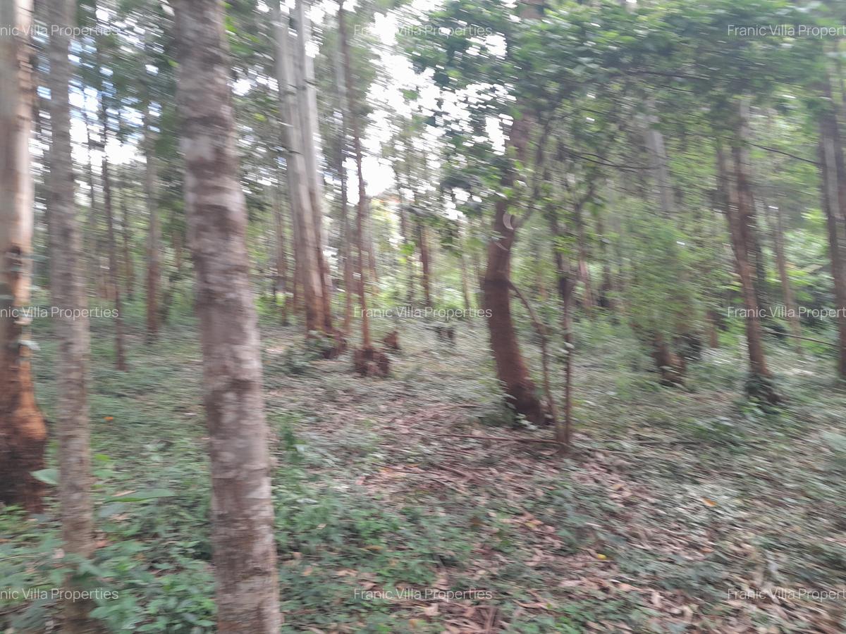 0.5 ac Residential Land at Old Kitisuru - 11