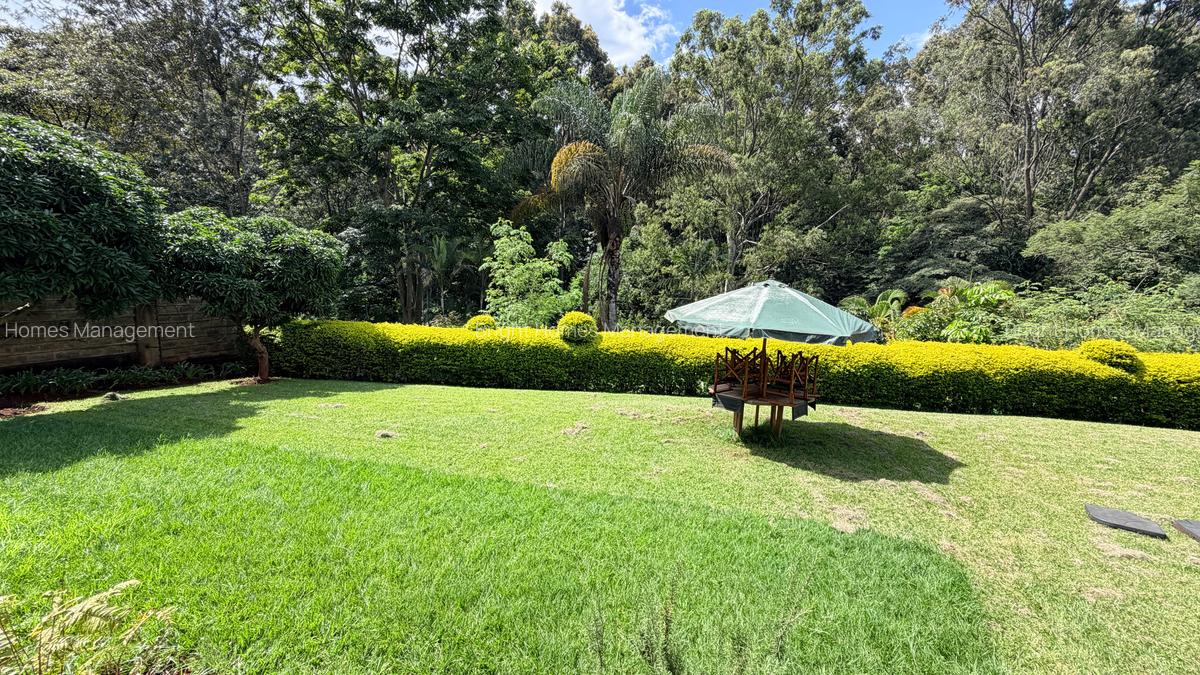 Furnished 3 Bed Apartment with En Suite in Spring Valley - 2