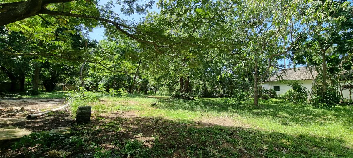 4.4 ac Land at Moorings - 14