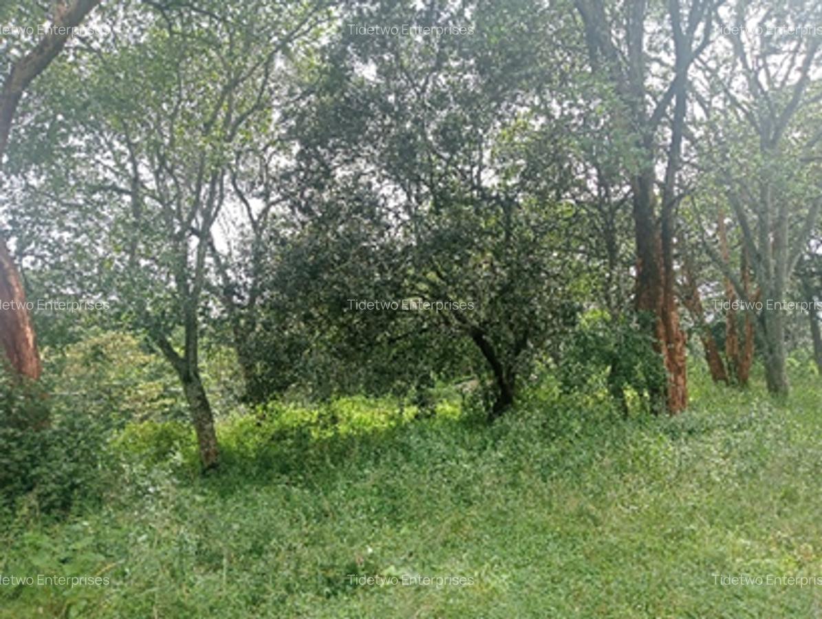 Land in Karen Hardy - 5