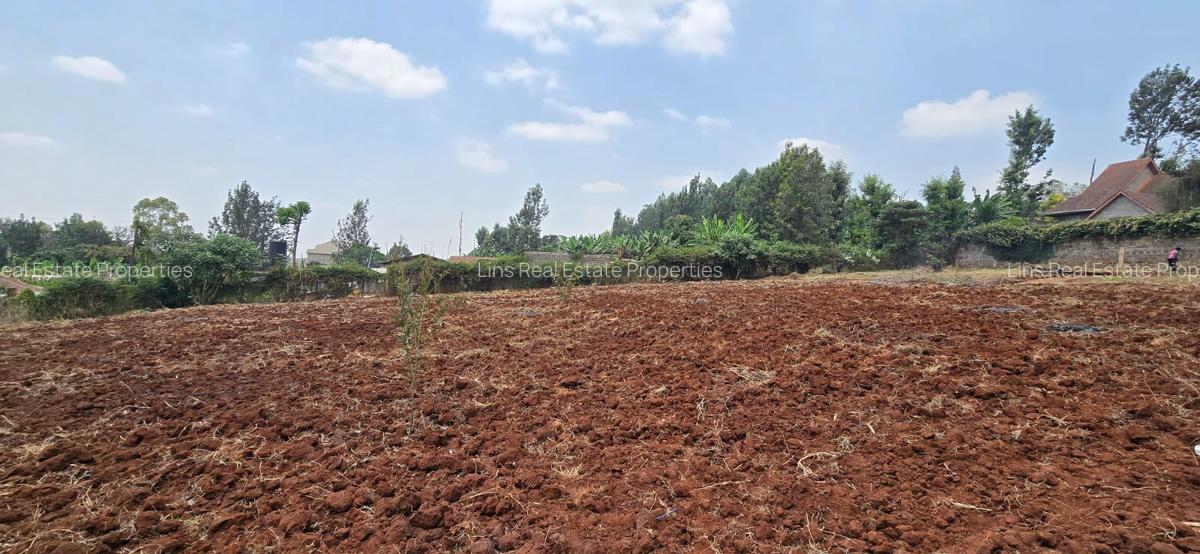 Land in Thindigua - 8