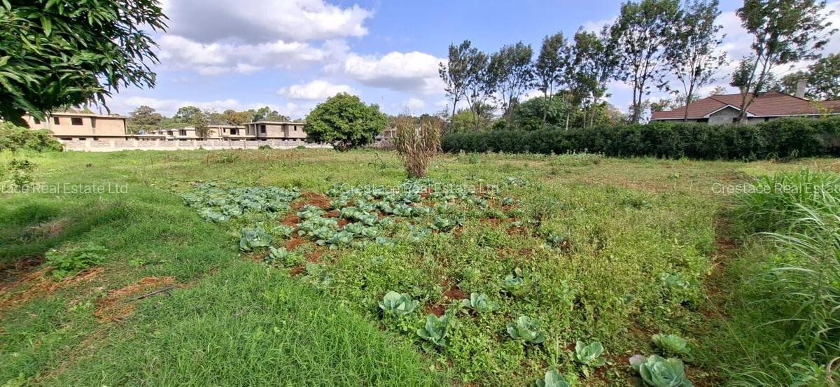 0.2 ha Residential Land at Three Dee Lane - 9