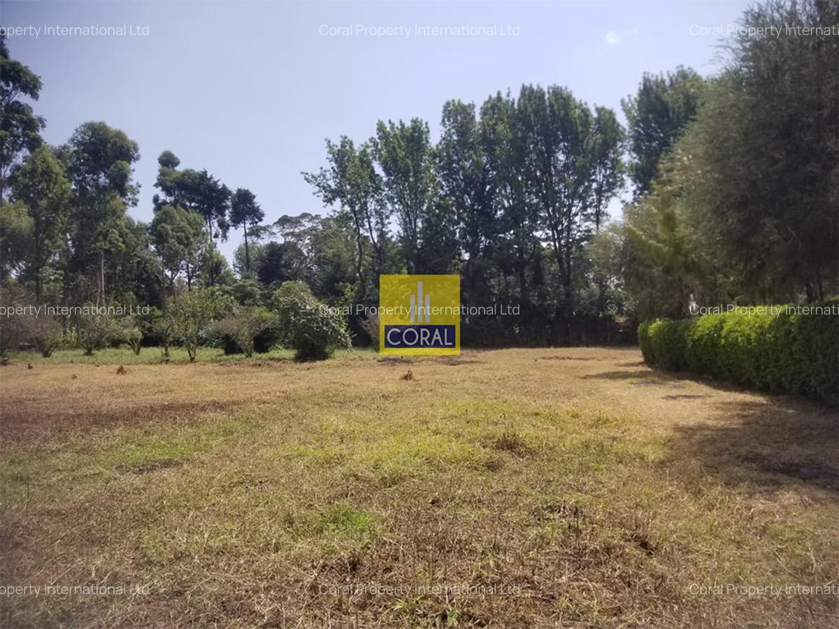 Land in Limuru Town - 8