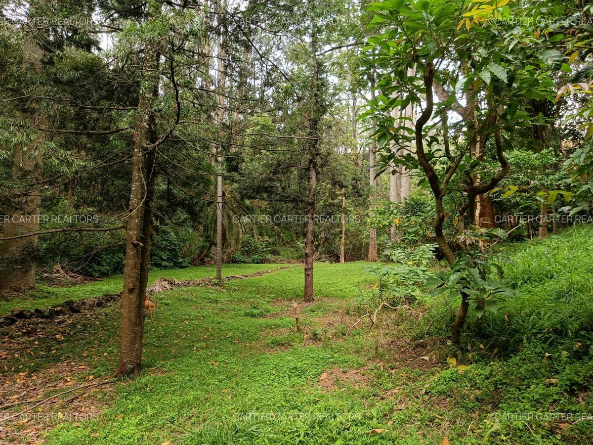 4 Bed Townhouse with Staff Quarters in Muthaiga - 4