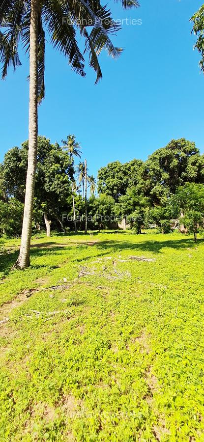 Land at Mtwapa - 11