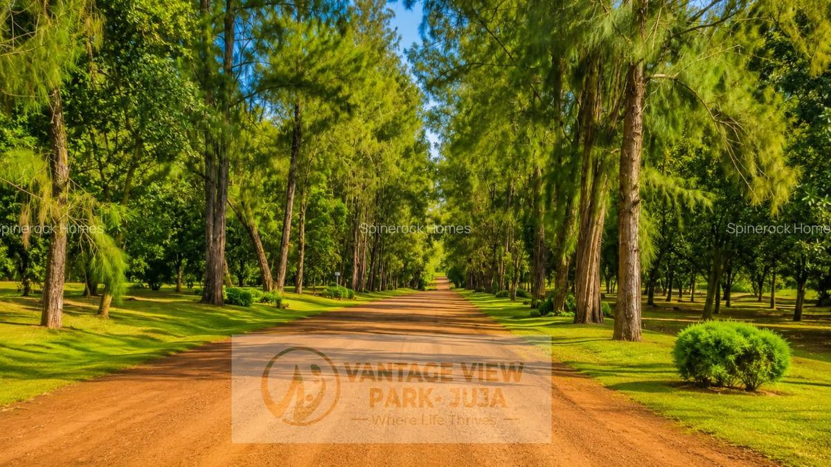 0.125 ac Residential Land at Juja-Gatundu Road - 8