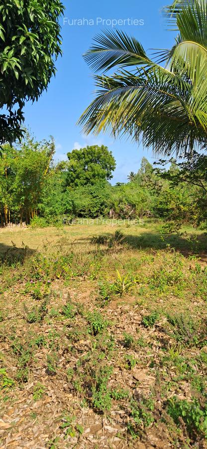 Land at Tiwi Near Diani South Coast - 17