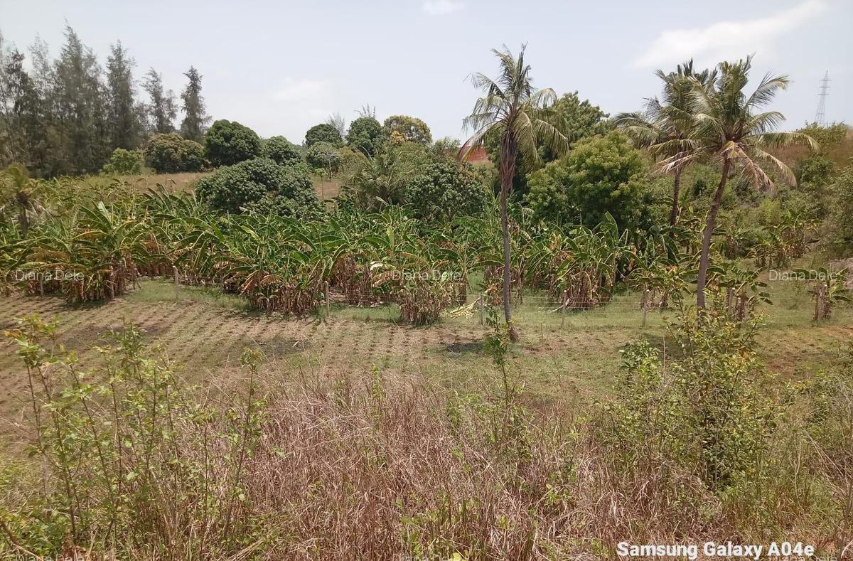 2.41 ac Land at Makonde Rd - 10