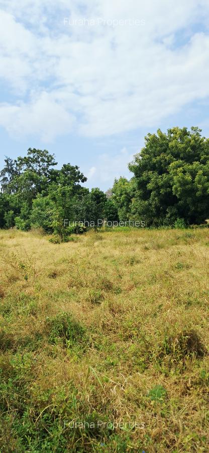 Land at Kilifi Town - 4