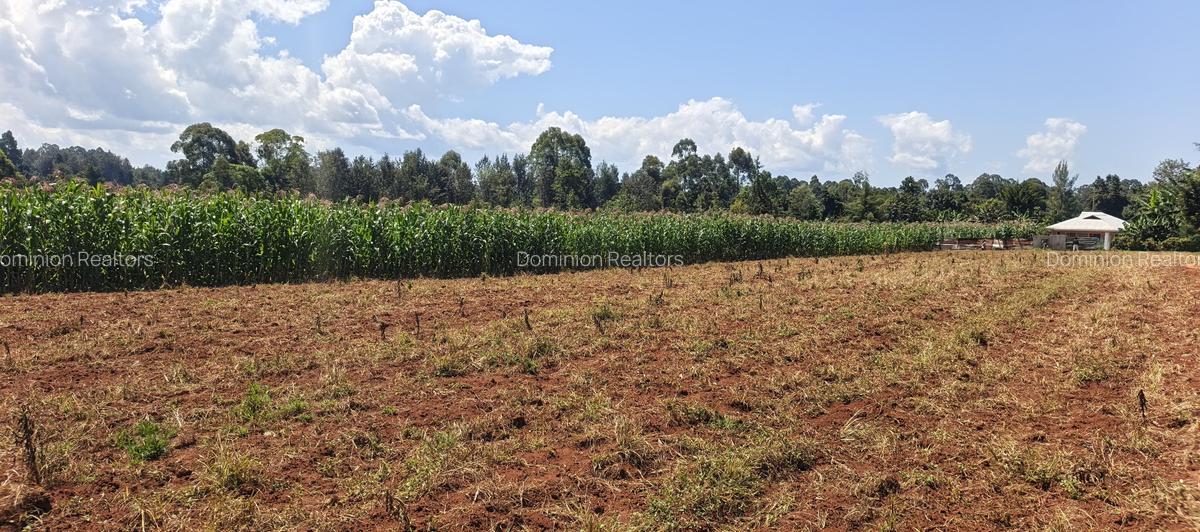Land in Trans Nzoia - 6