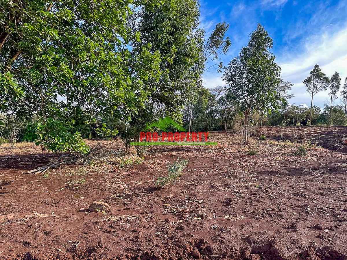 0.05 ha Residential Land at Riu Nderi - 7