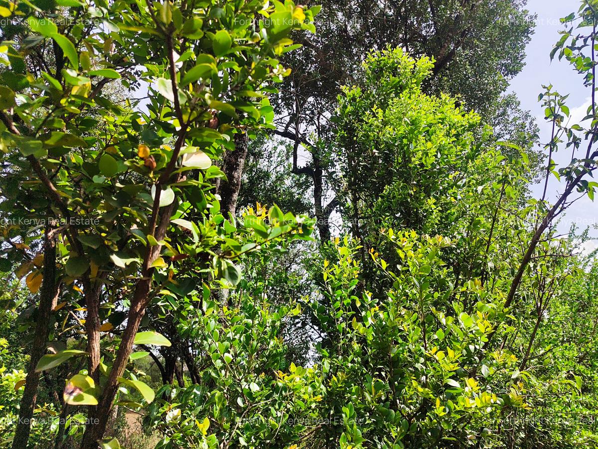 Residential Land at Hardy - 1