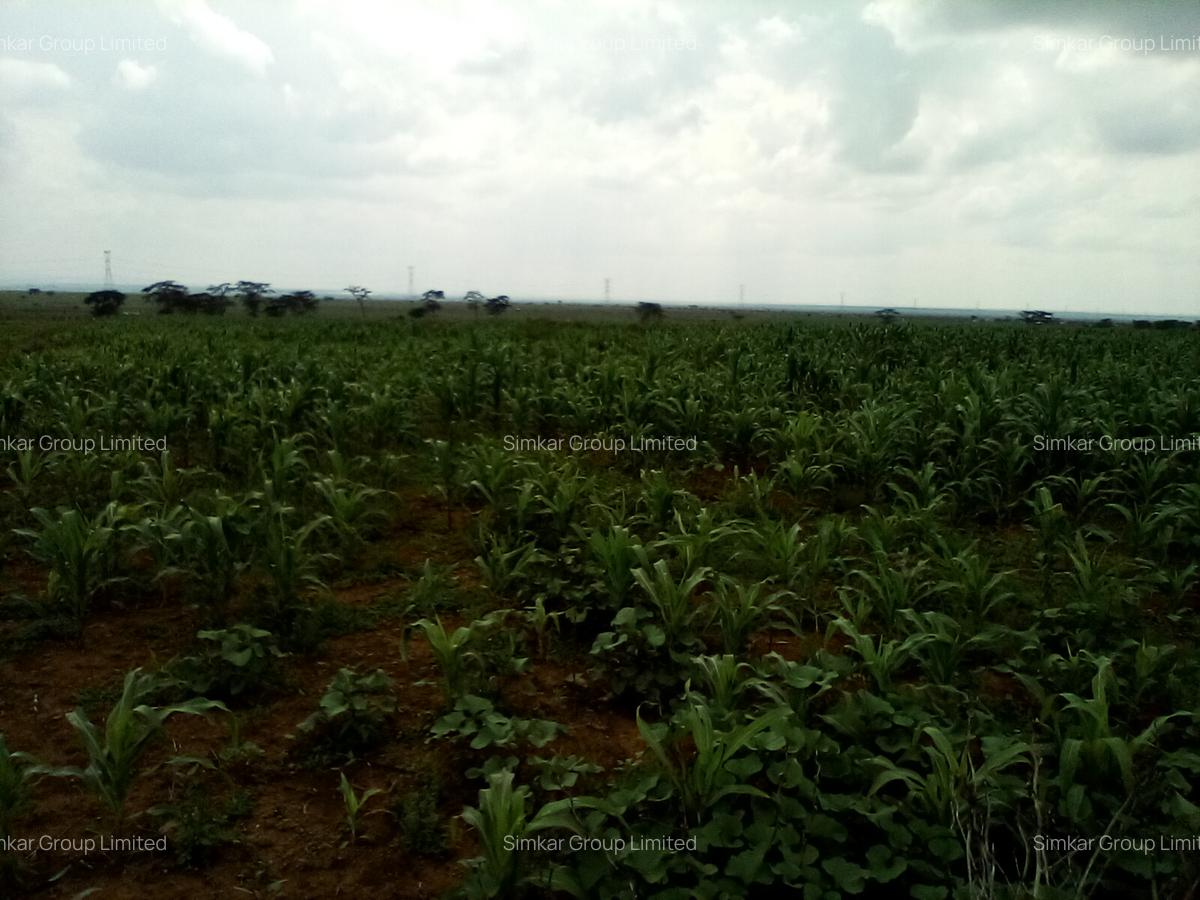 Land at Nanyuki-Rumuruti Rd - 2