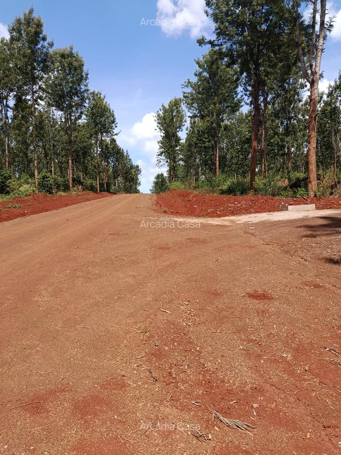 1,000 m² Residential Land at Ruiru-Githunguri - 4