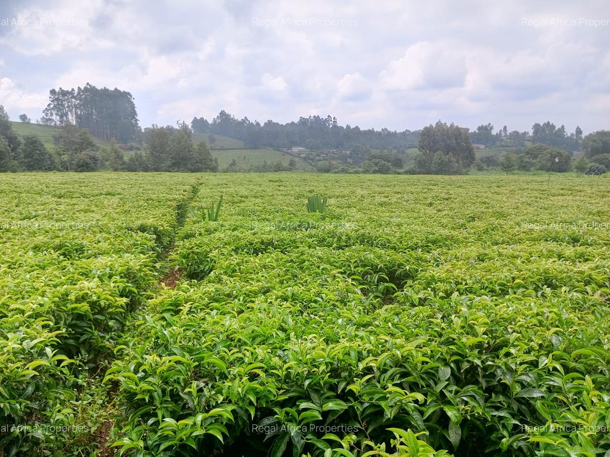 1 ac Land at Riara Ridge - 3