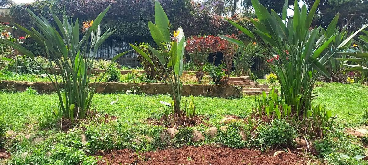 1.5 ac Land in Lavington - 11