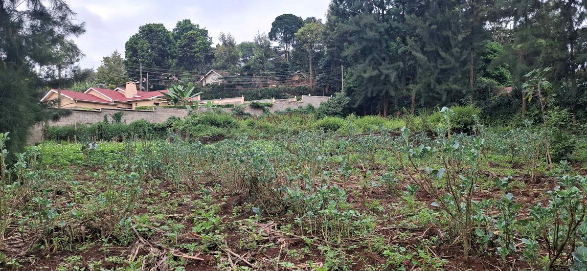 0.5 ac Land in Ngong - 9