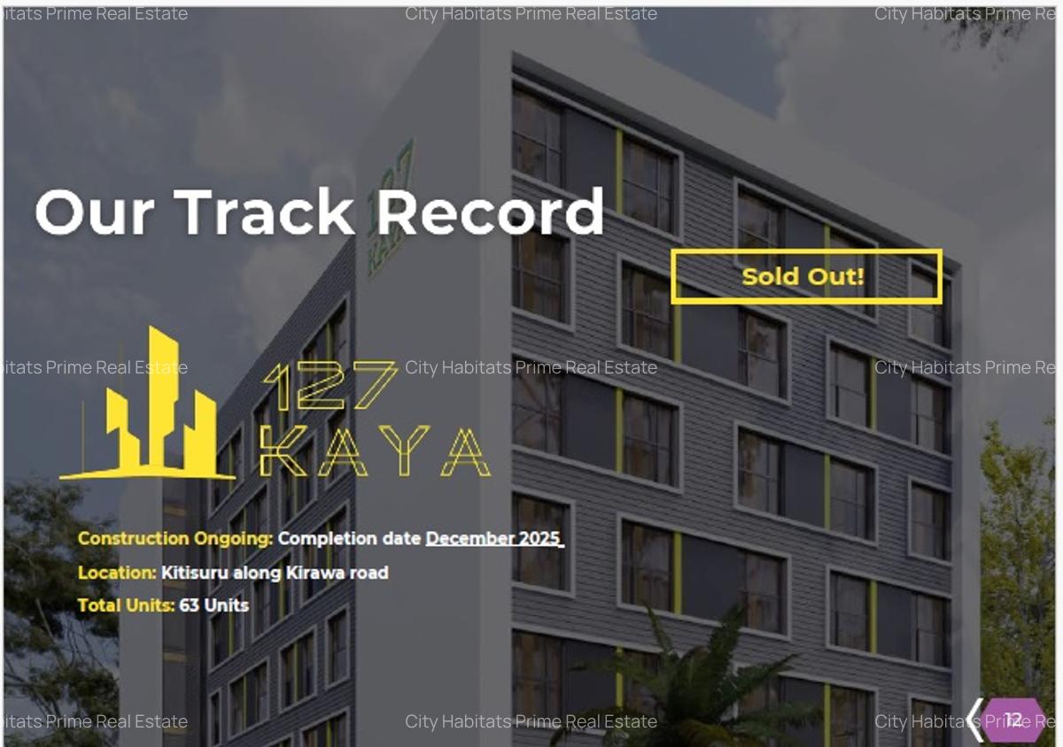 1 Bed Apartment with Borehole in Kitisuru - 10