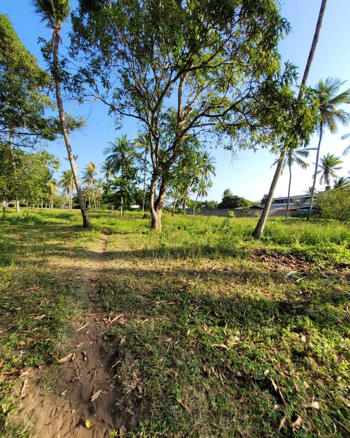 Residential Land in Nyali Area - 5