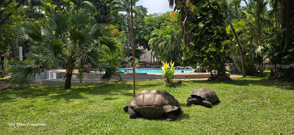 Serviced 3 Bed Apartment with En Suite at La-Marina - 4