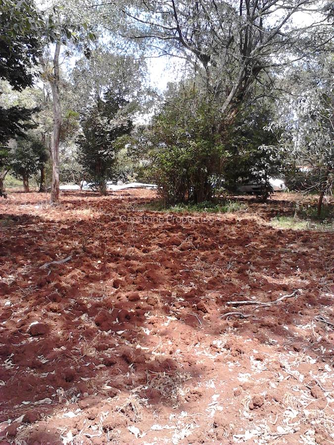 Residential Land at Runda - 7