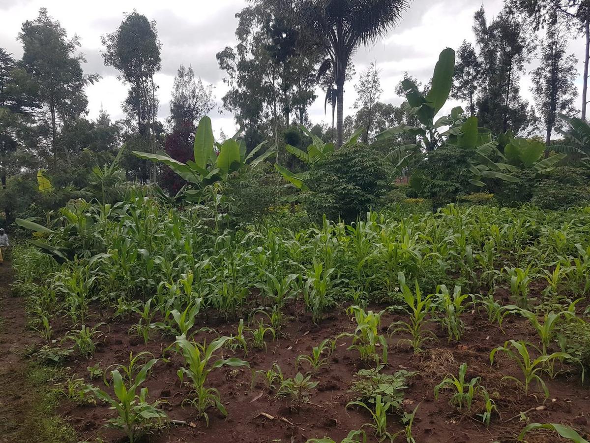 1.25 ac Land in Ngong - 3