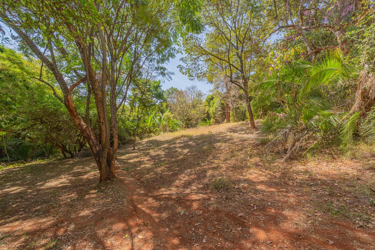 1.5 ac Land at Runda Grove