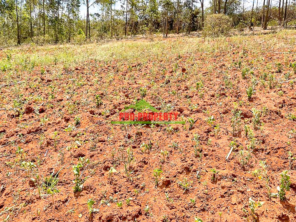 0.05 ha Residential Land at Gikambura - 4