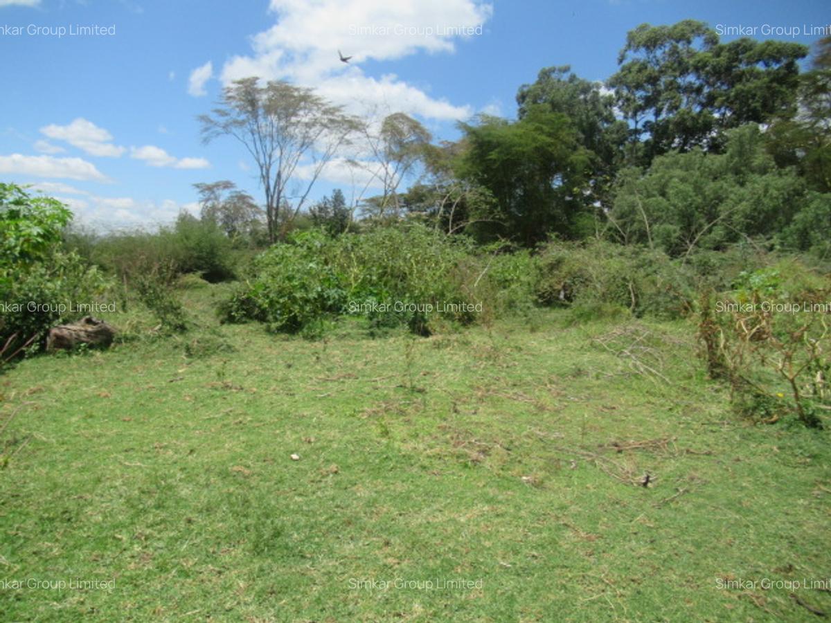 25 ac Land at Moi S Lake Rd - 12
