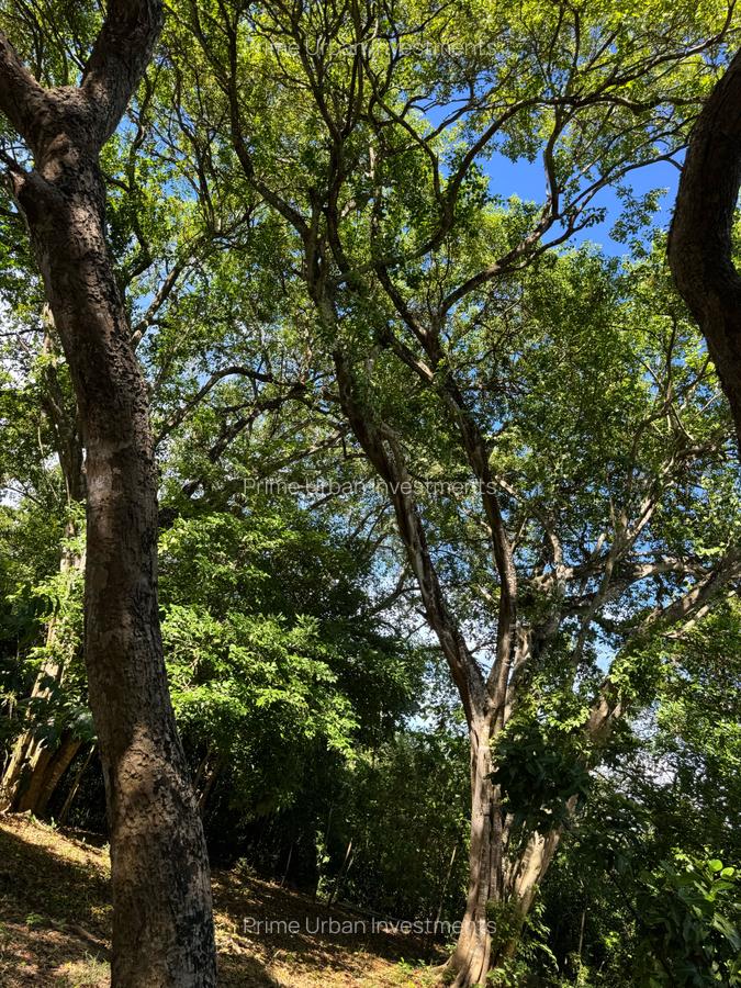 8,093.72 m² Land in Mtwapa - 11