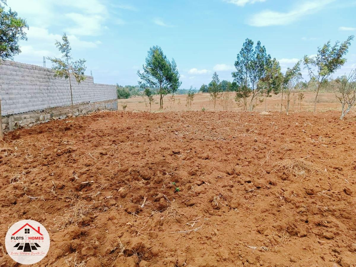 500 m² Residential Land at Runana - 6