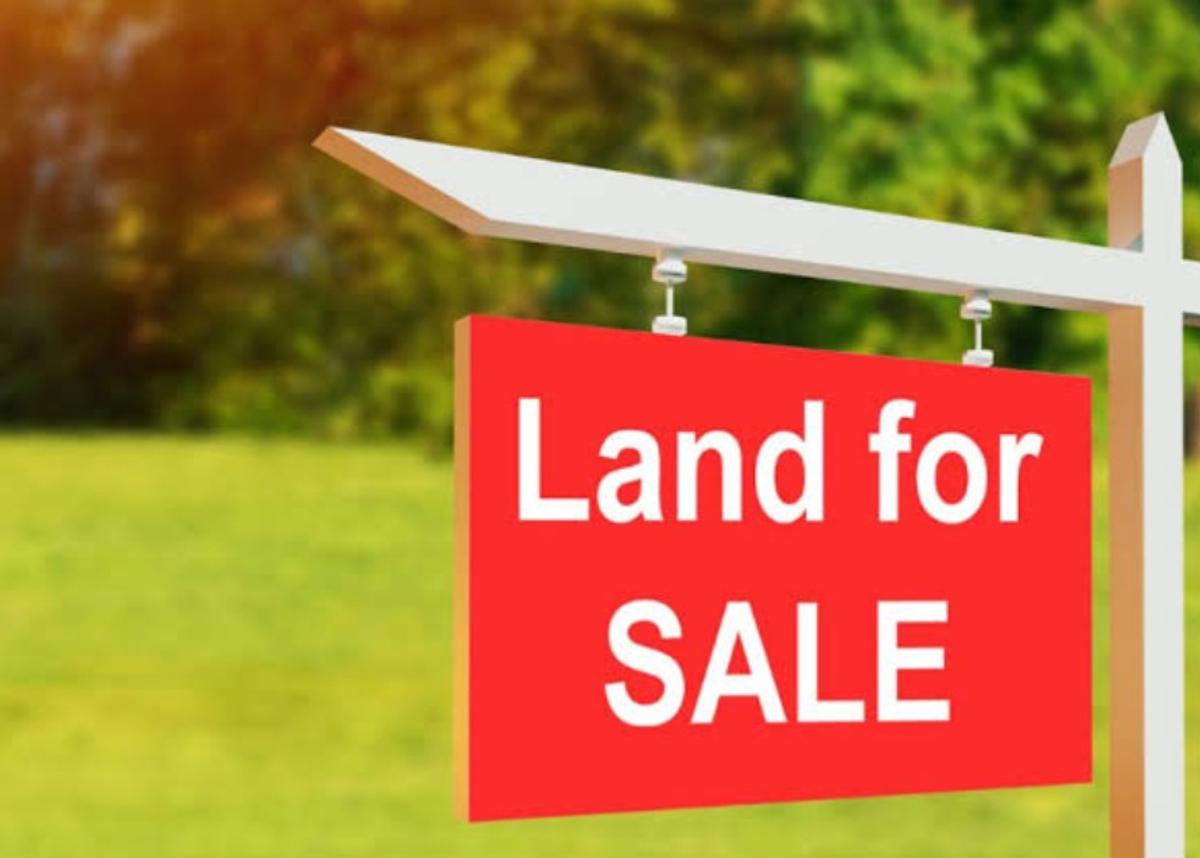 Land in Lavington - 1