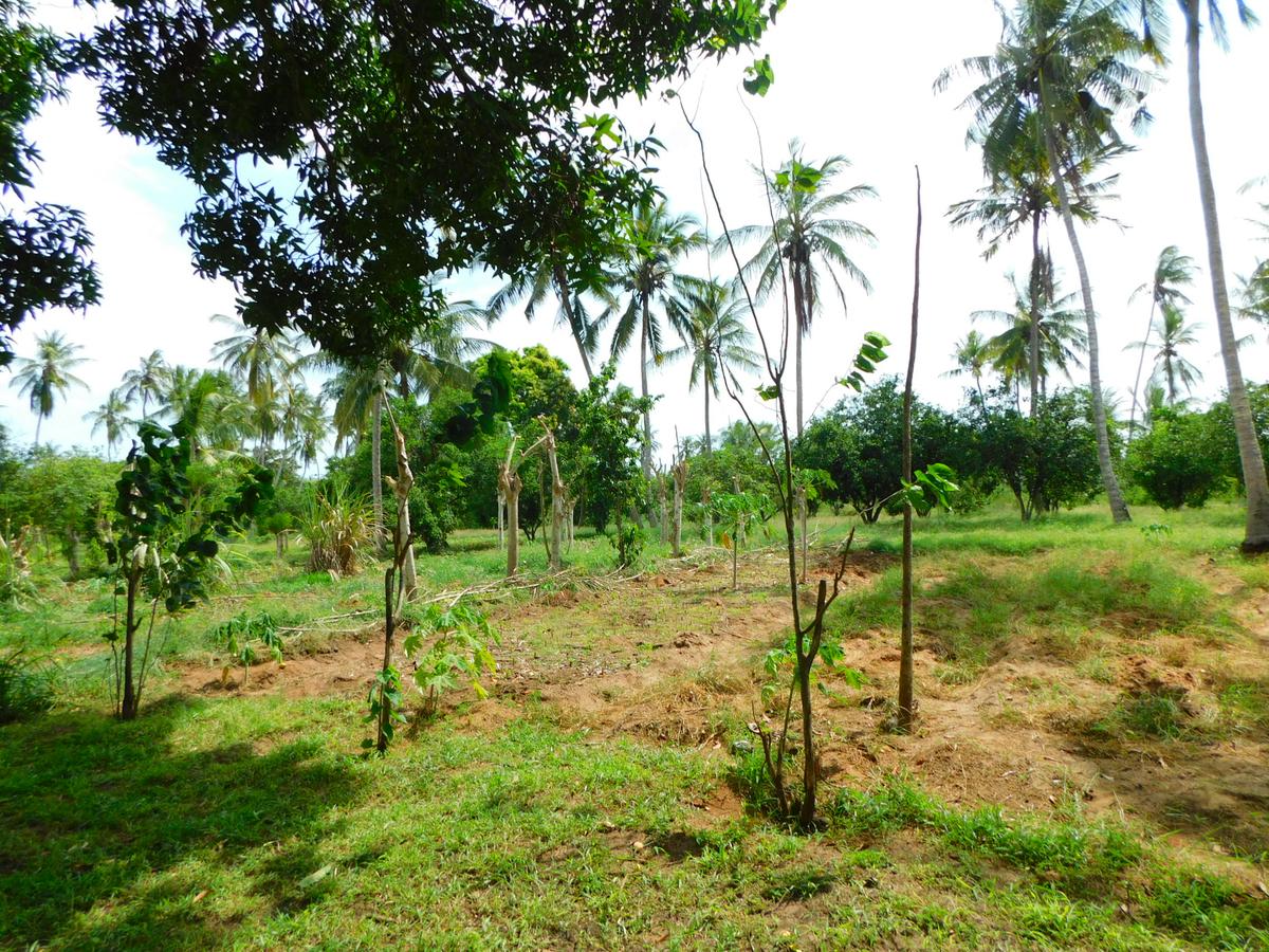 8 ac Land in Kikambala - 5