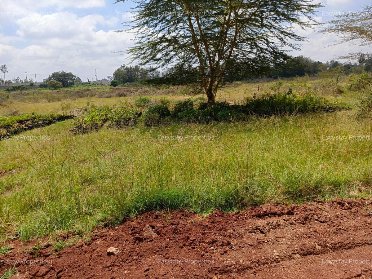Land in Muthaiga - 7