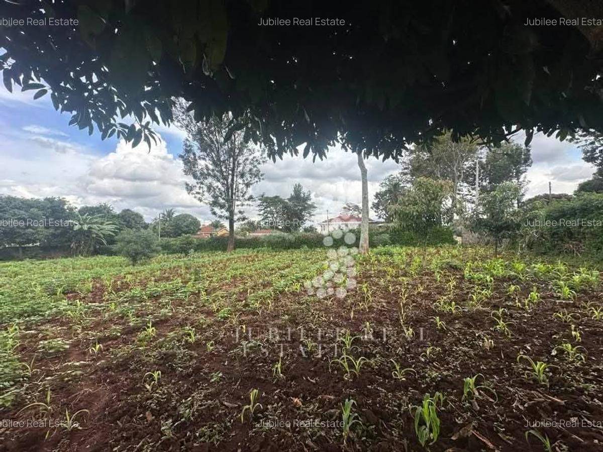0.5 ac Land in Runda - 1