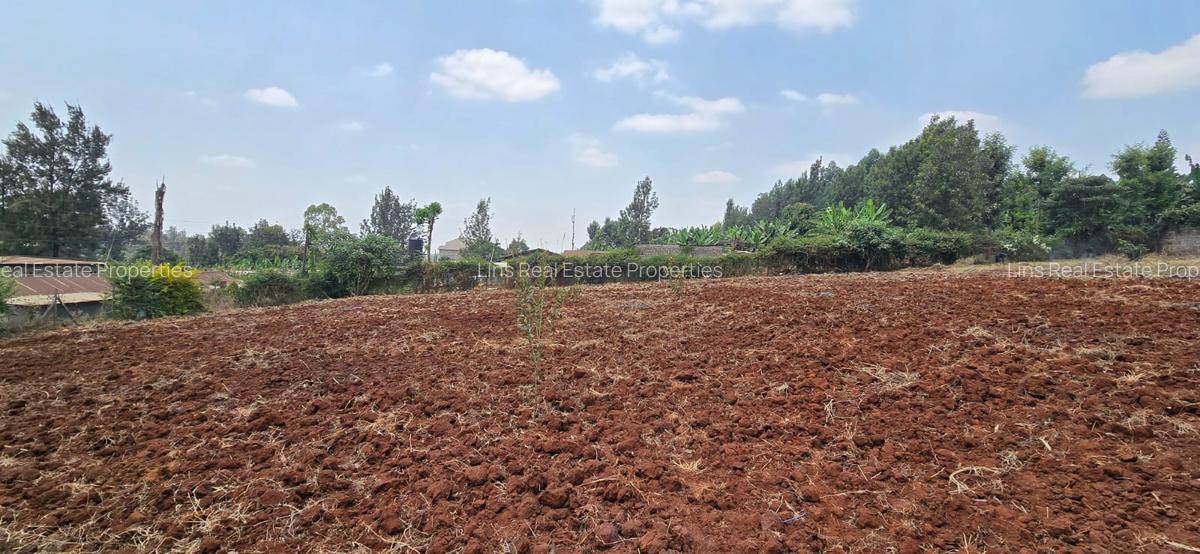 Land in Thindigua - 7