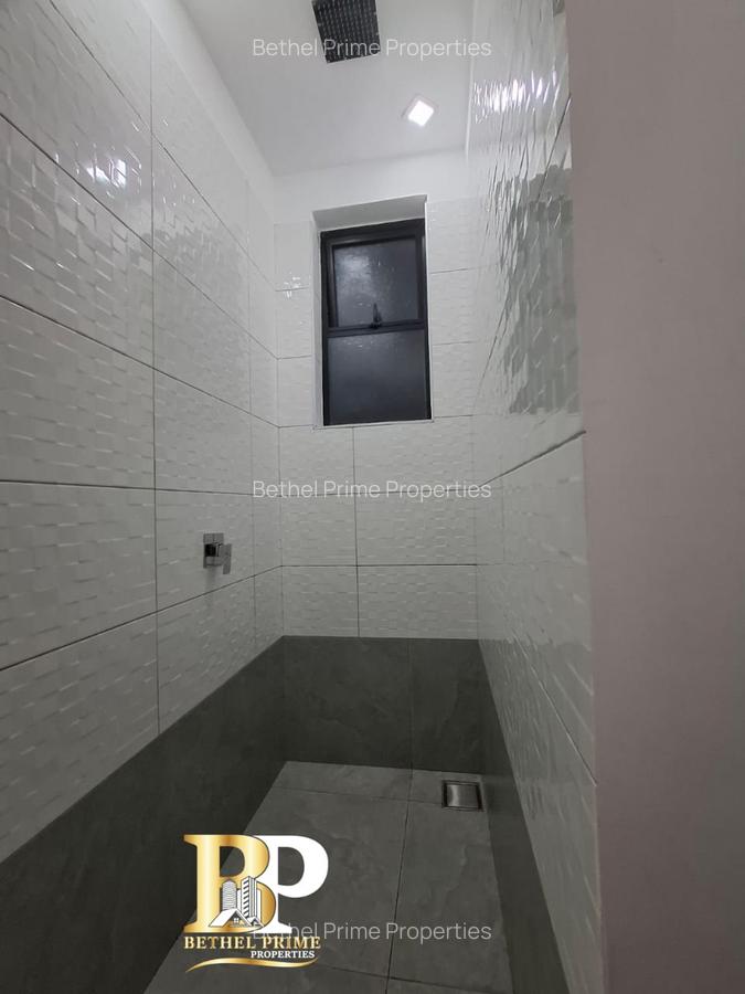 1 Bed Townhouse with En Suite in Spring Valley - 16